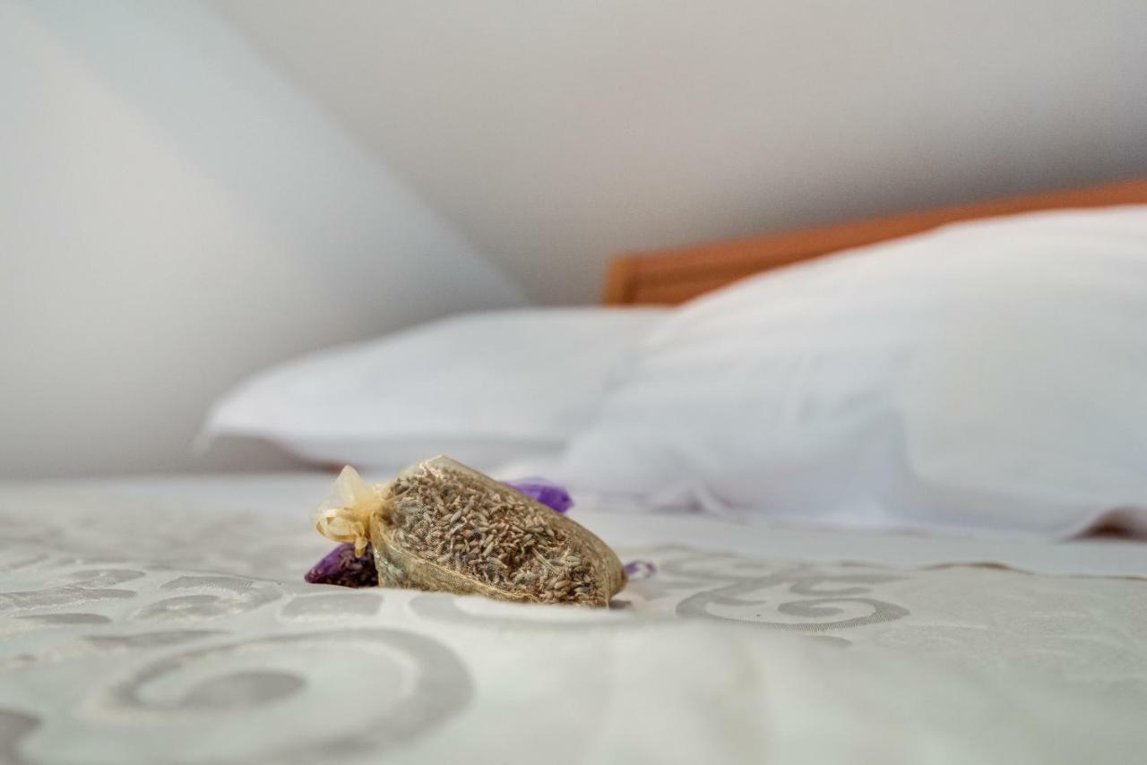 Studio Maslina Apartman Šibenik Kültér fotó
